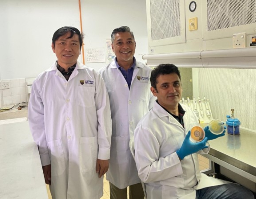 Dr Teoh (left) and Dr Mohammed Rizman (centre) with PhD student Tehseen Nawaz investigating fungi isolated from Antarctica. 