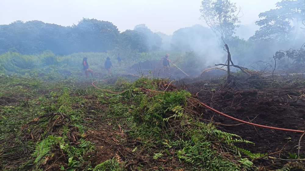 Sarawak forest fire in Daro enters eighth day, 4ha still burning
