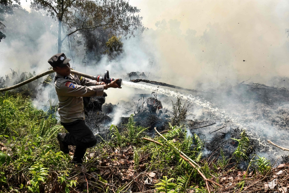 A security officer attempts to extinguish a fire burning on peatland in Kampar, Riau on August 17, 2026. — AFP pic
