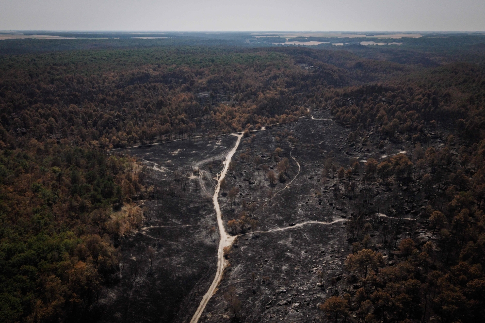 Aerial view shows part of Fontainebleau forest razed by wildfire on July 30, 2026. — AFP pic
