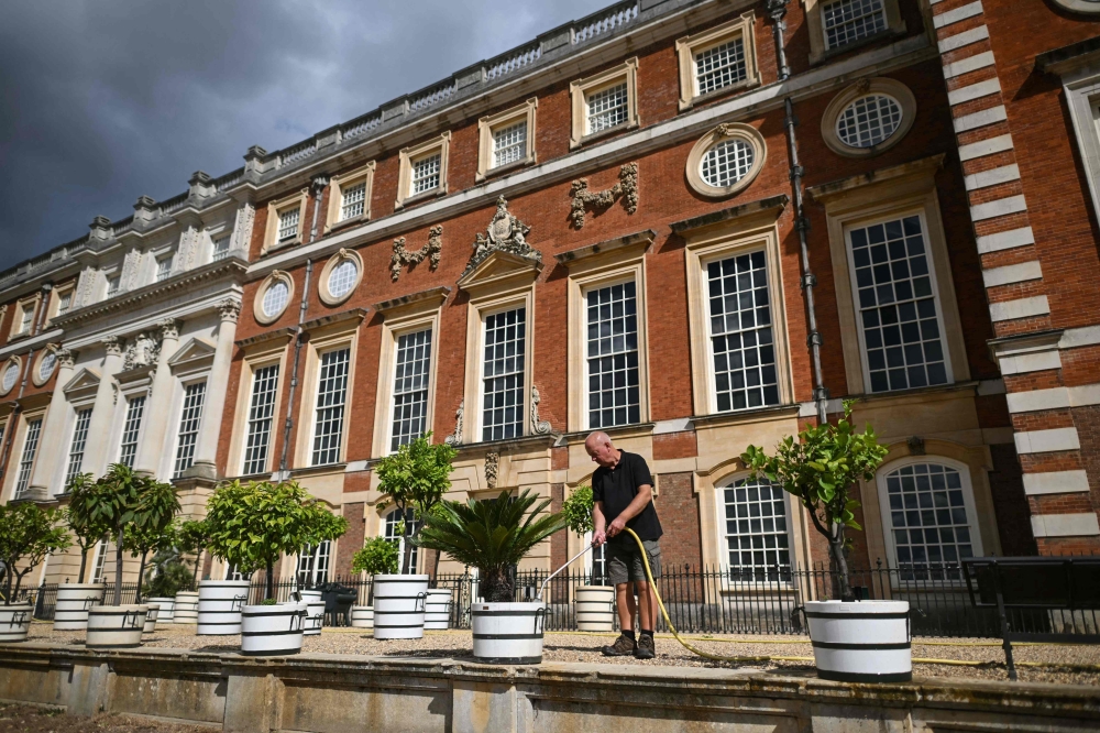 This photo taken on August 20, 2026 shows a gardener watering the plants on the dry grounds at Hampton Court in south-west London. — AFP pic