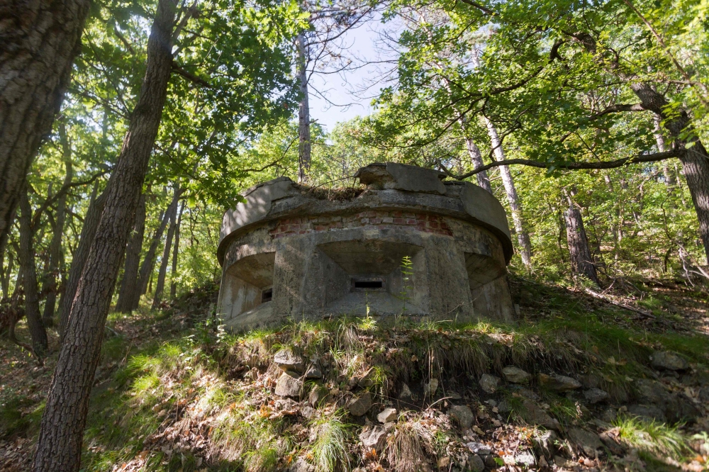 A circular concrete bunker built into a forested hillside in Hirtenberg, Austria, is pictured on August 22, 2026, a surviving remnant of the former Nazi forced labour complex. — AFP pic