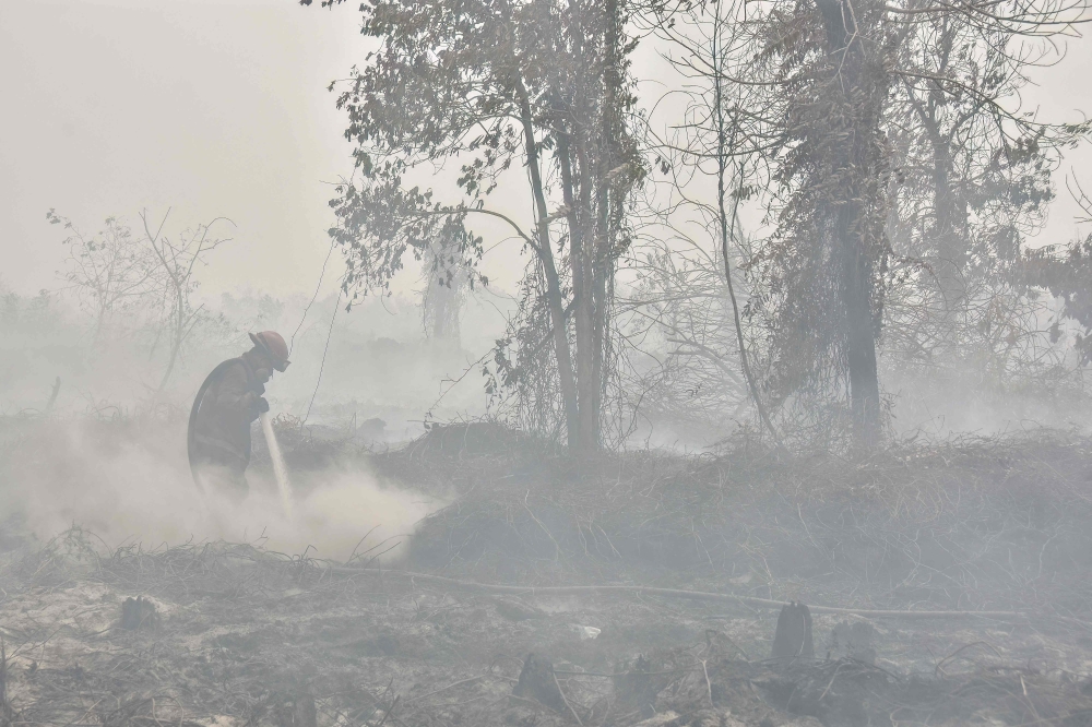 DOE: Transboundary haze thickens 1,211 hotspots detected in southern Asean, mostly in Kalimantan