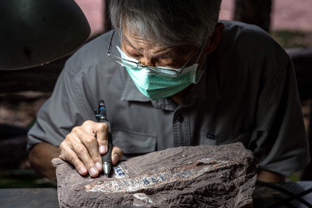 Palaeontologist Varavudh Suteethorn uses a pneumatic pen to excavate a dinosaur fossil at Phu Wiang National Park in Khon Kaen on August 19, 2026. — AFP pic