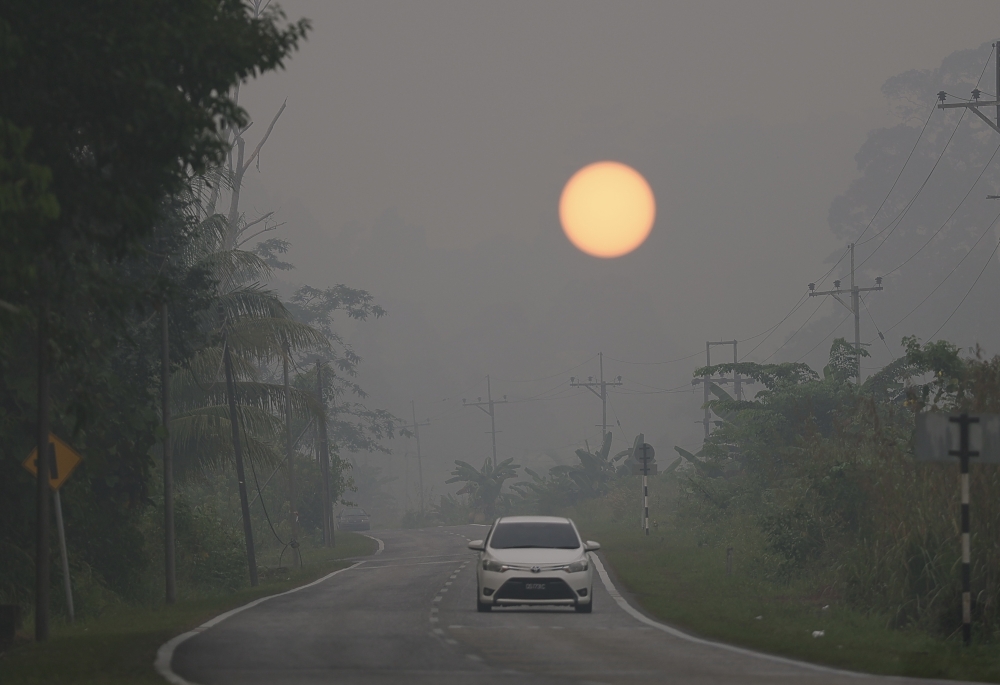 Sarawak Forestry ramps up monitoring in fire-prone forests as heat, haze raise risks to wildlife