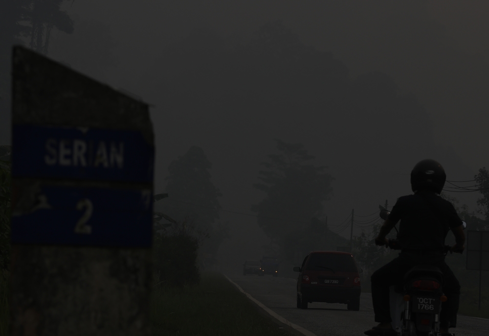 Transboundary haze poses long-term threat to wildlife, disrupting habitats, food sources and reproduction