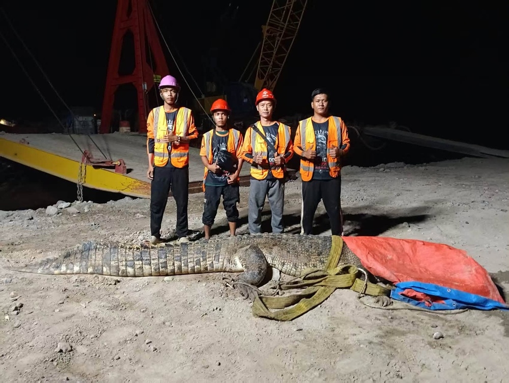 Hunting team records nine crocodiles captured in four‑day Kuala Baram operation