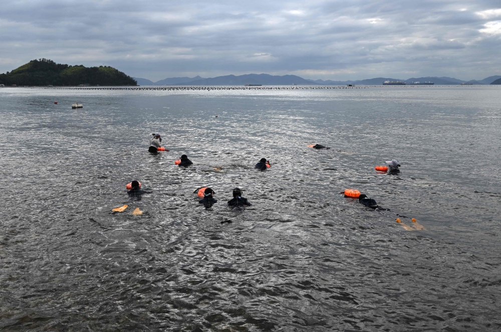 Participants swim using the ‘tewak’, a buoy used by haenyeo floating, during a ‘haenyeo’ training session in the South Korean coastal town of Geoje. — AFP pic