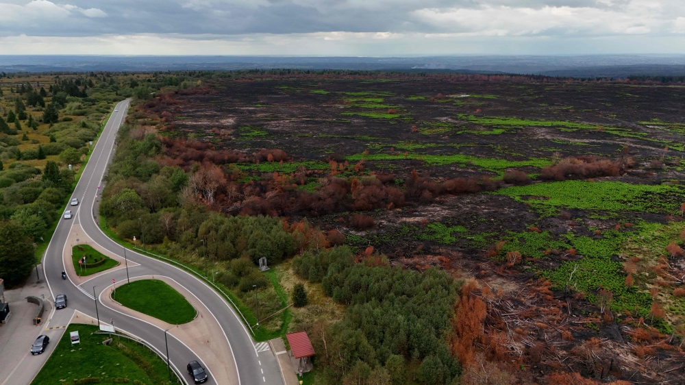 A forested area scorched following a wildfire in the Hautes Fagnes (High Fens) nature reserve near Baraque Michel, eastern Belgium on September 9, 2026. The fire mushroomed to half the size of Manhattan – 3,000 hectares – charring a huge expanse of peatland, pine trees and hiking trails. — AFP pic