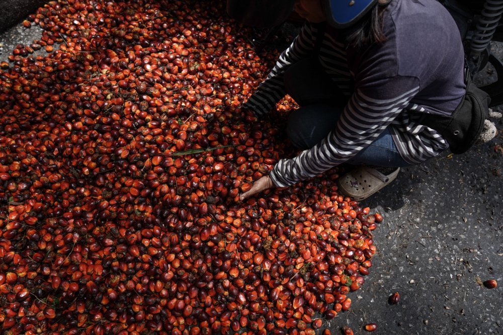 India’s top palm oil buyer AWL sources 70pc of its palm oil from Malaysia, and plans to keep it that way