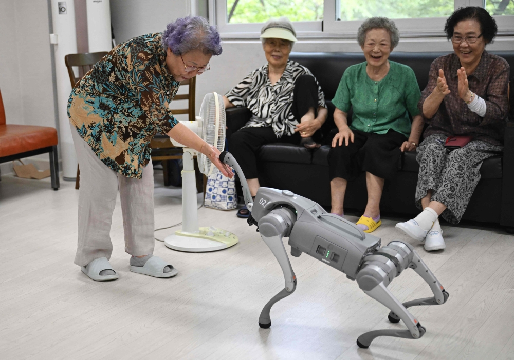 This picture taken on August 13, 2026 shows elderly people playing with a robot dog during a government-organised digital survival training at a senior community centre in Suwon. Age gaps in digital literacy are a global concern, yet the gulf has widened massively in the hyper-connected and fast-aging country, prompting national campaigns to bridge it. — AFP pic
