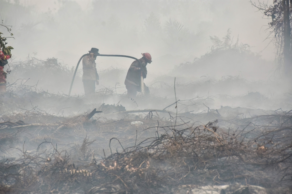 A peatland firefighting task force extinguishes a fire in the Tambang area of Kampar, in the Riau province August 27, 2026. — AFP pic