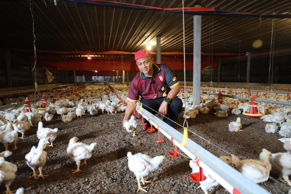 Muzamri inside his closed-house chicken farm in Jalan Kebun, Shah Alam. — Picture by Yusof Isa