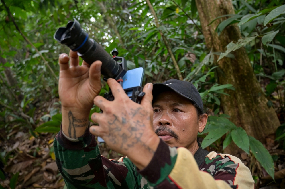 Imam Mujiono, biodiversity field project coordinator for Borneo Future Indonesia, searches for  targeted animals in West Kalimantan, Indonesia on September 2, 2026. — AFP pic