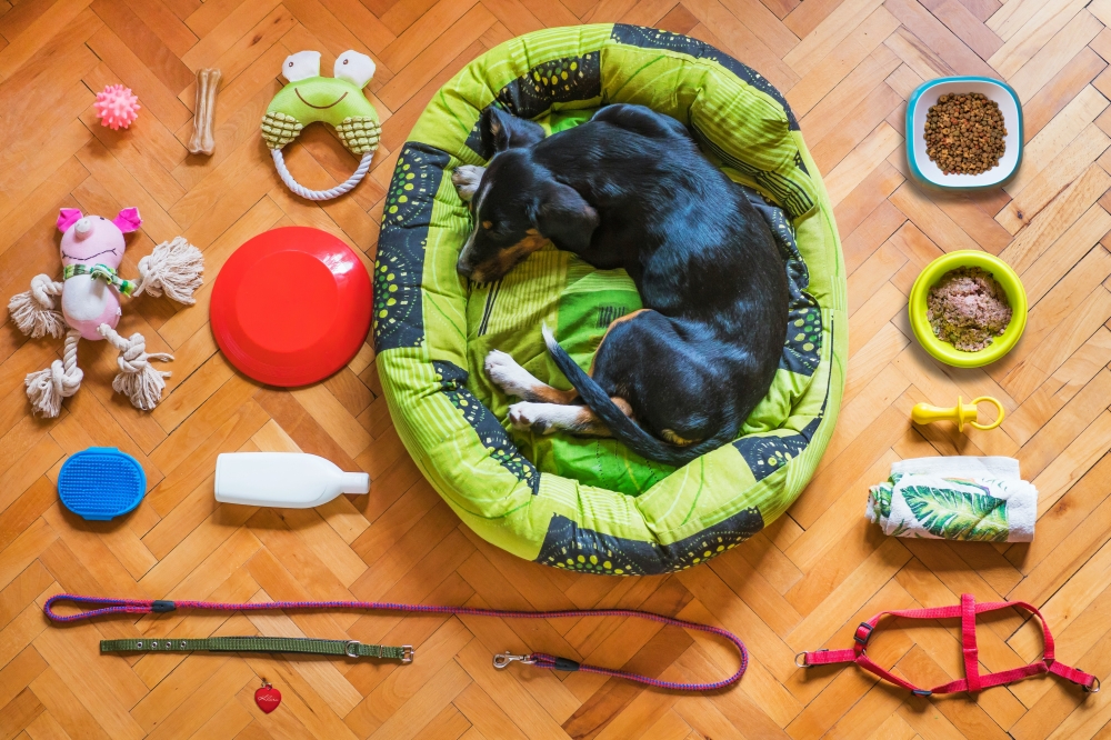 The growing role of pets in family life is also changing how people consume, with purchases increasingly shaped by affection, responsibility and perceptions of good care. — Unsplash pic