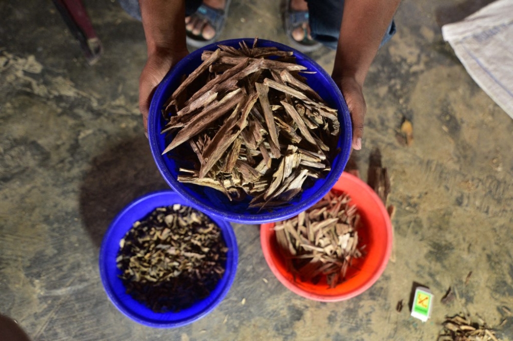 The author argues that Malaysia should move agarwood beyond raw-resource exports by building a research-driven, value-added industry around innovation, branding, market insight and local products. — AFP pic