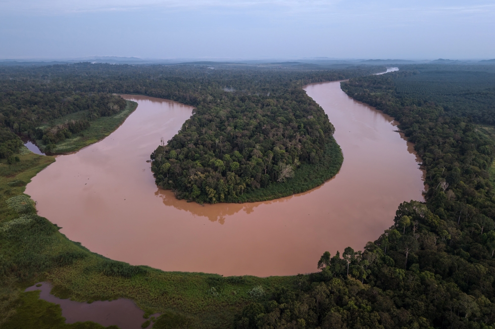 This aerial photo taken on August 26, 2026, shows a general view with the Kinabatangan River and surrounding jungle in Sukau, a small village near Sandakan in Sabah state on the island of Borneo. — AFP pic