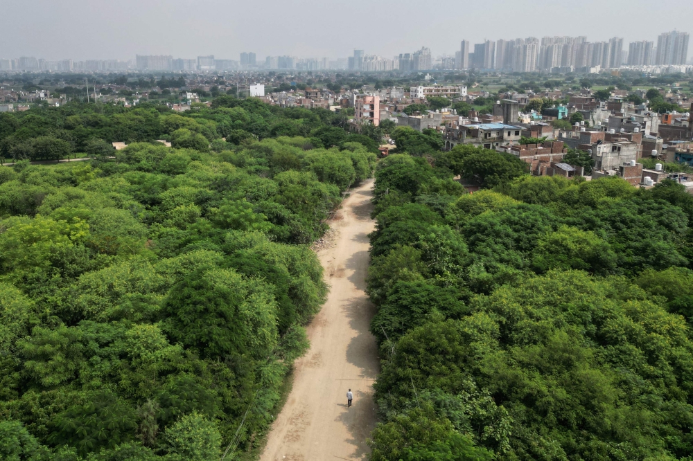 This aerial photograph taken on September 16, 2026 shows the urban forest ‘Harit Upvan’ against the backdrop of high-rise buildings at Sorkha village in Noida. His trust estimates it has restored vegetation across more than 270,000 hectares, or 2,700 square kilometres — more than twice the size of Delhi and nearly as large as California’s Yosemite National Park. — AFP pic
