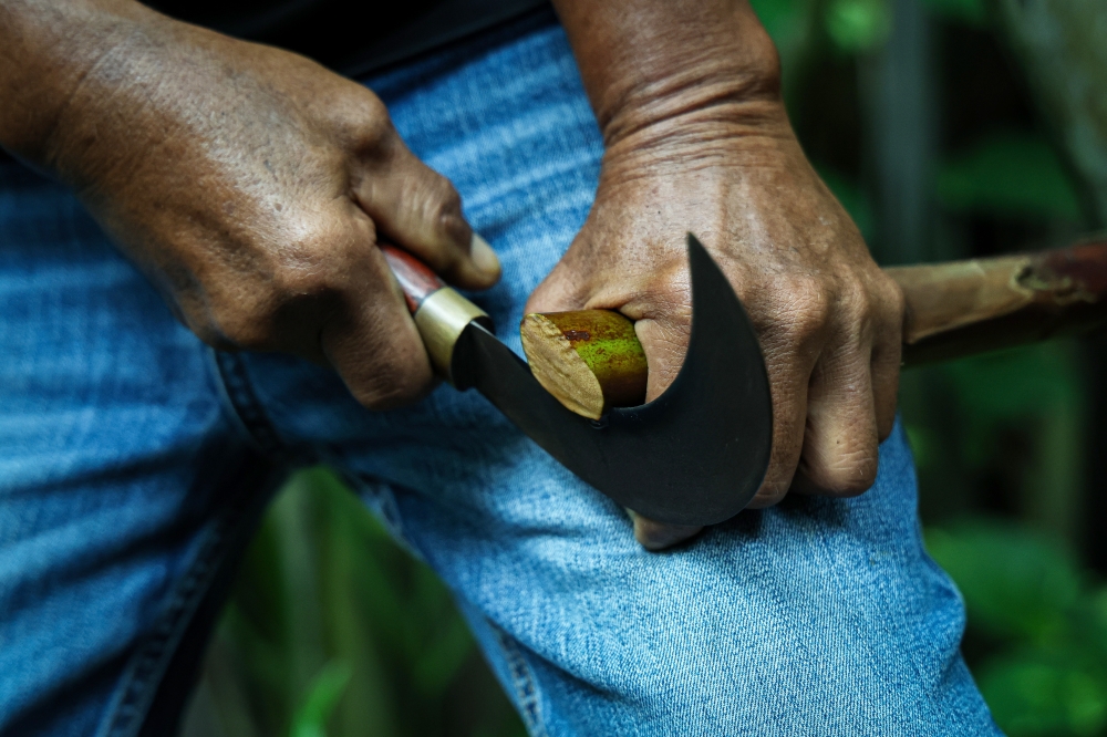 Nipah Klasik worker Ramli Bakar, 62, cuts a nipah palm flower cluster to collect sap during Tourism Malaysia’s Cuti-Cuti Malaysia Surreal Experiences Perlis media visit in Kangar, Perlis, September 29, 2026. — Bernama pic