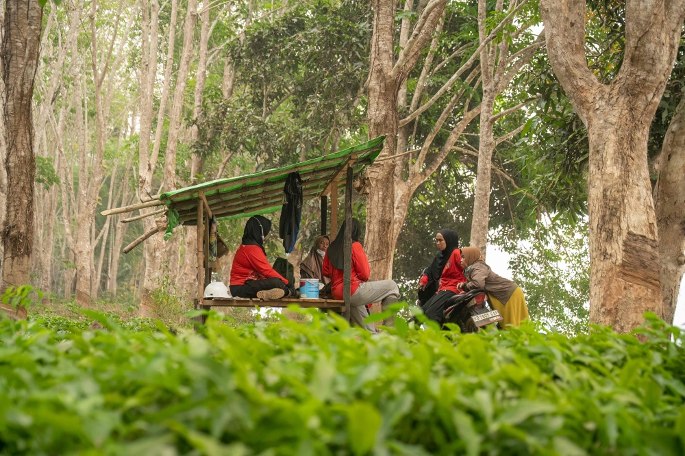 The ‘Mamas’ on a break during a patrol mission in the Benipis area, Ketapang Regency, West Kalimantan on September 27, 2026. — AFP pic