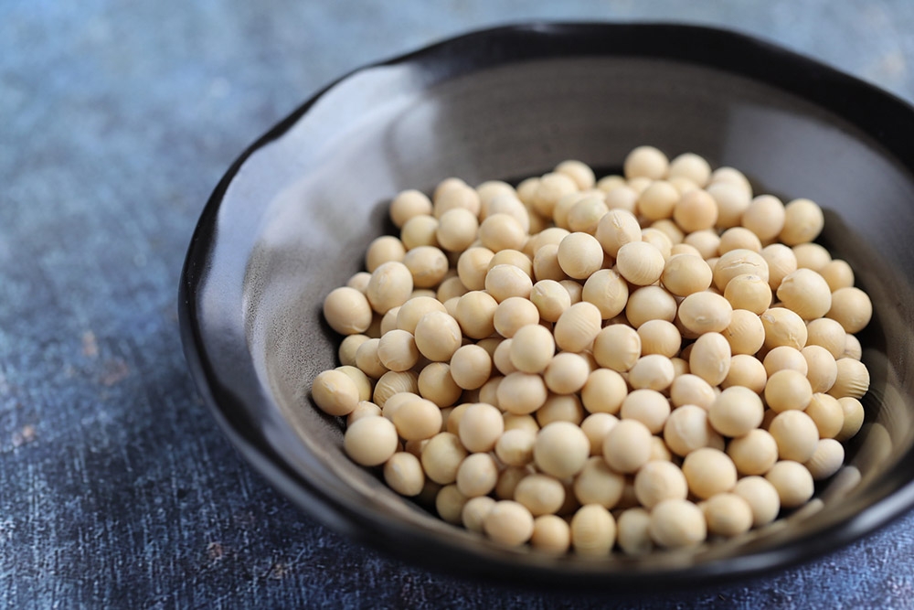 Raw organic soybeans. — Picture by CK Lim