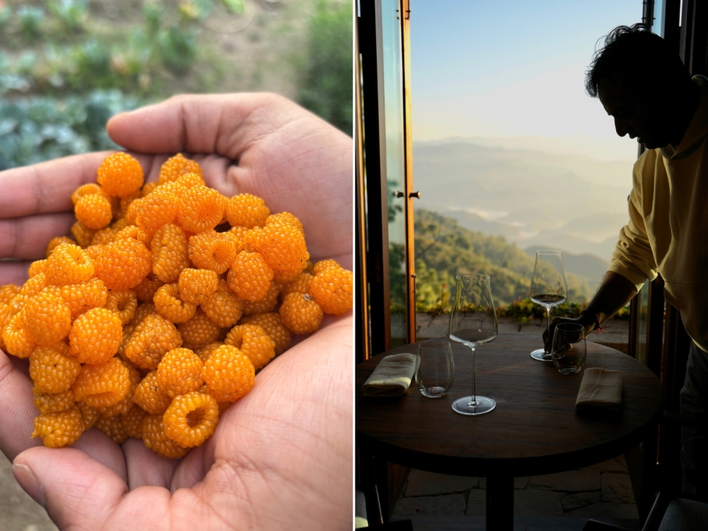 Golden raspberries, which come into season in September (left). Inside the restaurant at sunset (right). — Picture courtesy of NAAR