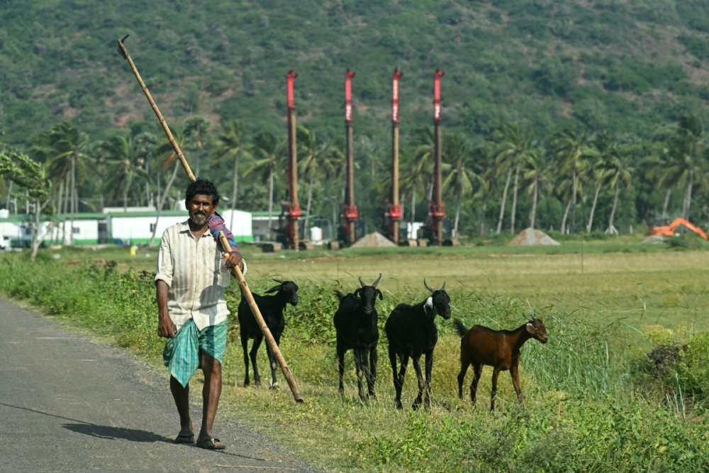 A villager walking with his goats near the Google AI and data centre hub construction site at Rambilli in the Anakapalli district of India’s Andhra Pradesh state. — AFP pic