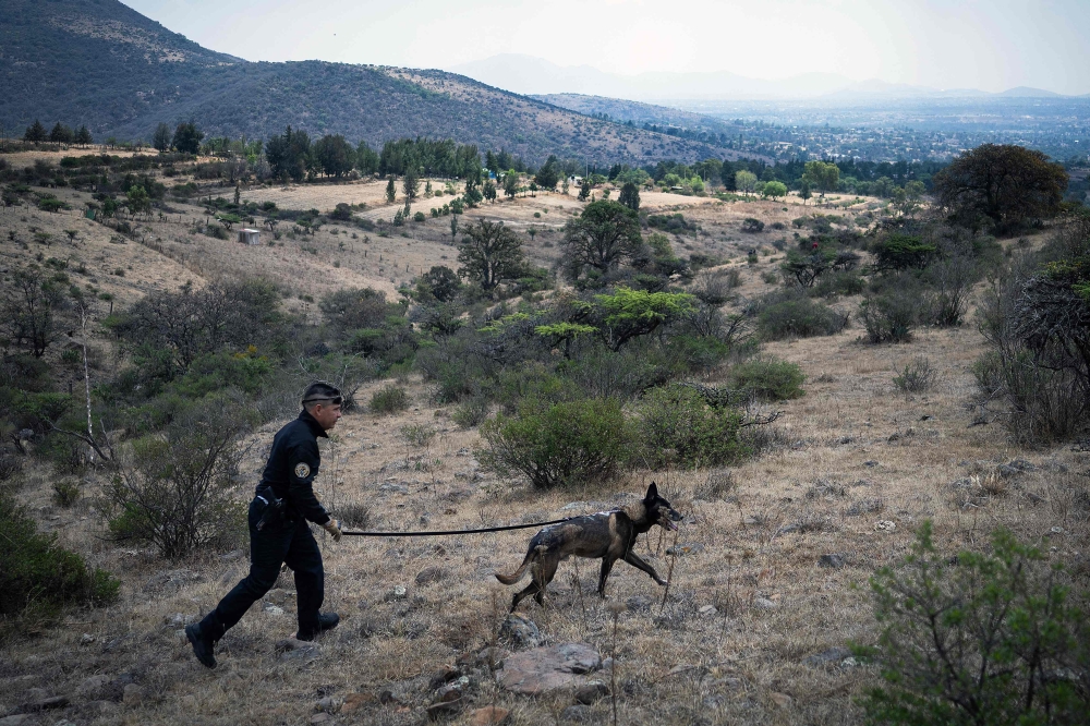 A member of the search team walks with a K9 sniffer dog while looking for missing child Brenda Aguilar Guadalupe, in Tepotzotlan, Mexico State on March 13, 2026. — AFP pic