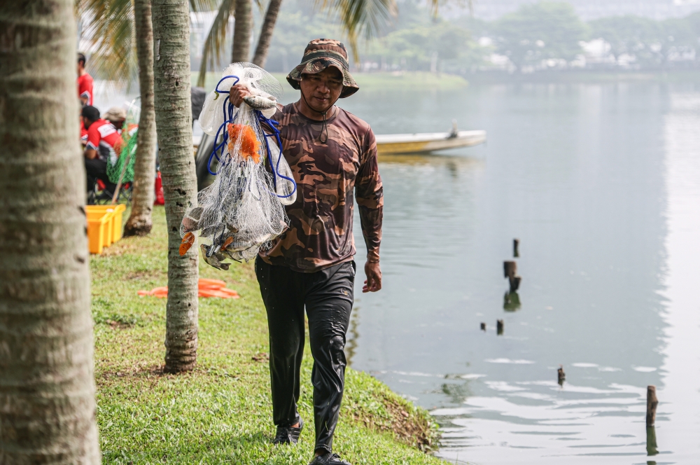 Stop dumping pet fish in lakes, govt warns as alien species wiping out natives in Ampang lake