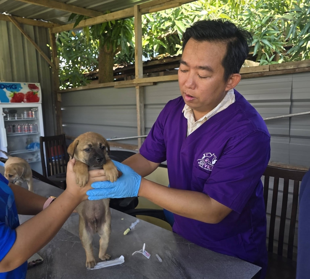 Veterinarian Dr Randolf Paza examines a puppy. He warned that haze and fine airborne particles could cause breathing difficulties in animals, sometimes requiring oxygen therapy. — Picture courtesy of Dr Randolf Paza