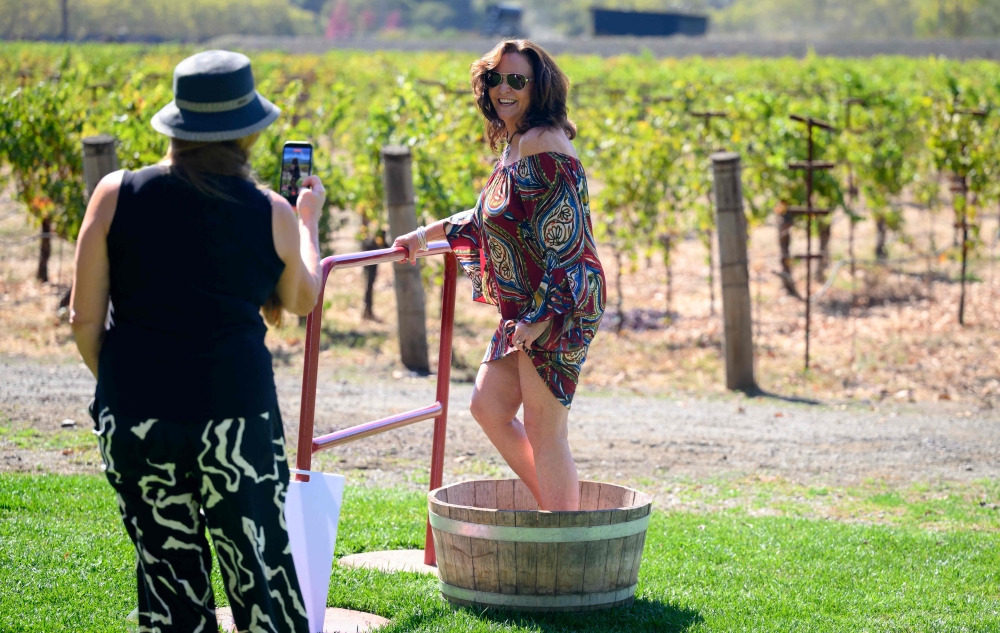 A tourist takes a chance to try the wine grape-stomping process at Grgich Hills Estate in Rutherford, in California’s Napa Valley October 5, 2026. — AFP pic 
