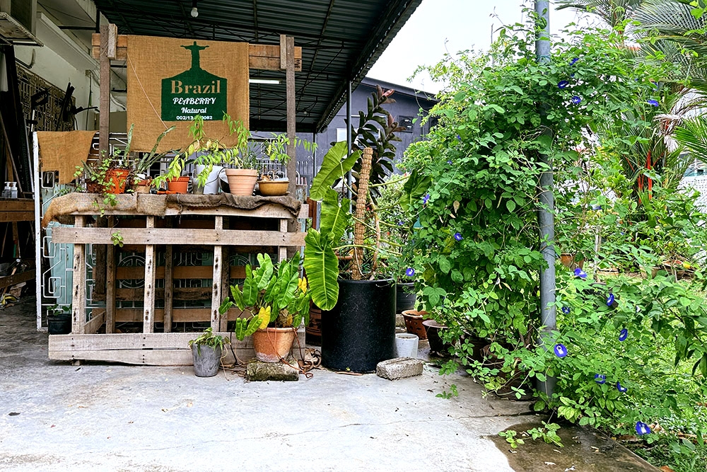 Part of the verdant, tropical garden. — Picture by CK Lim