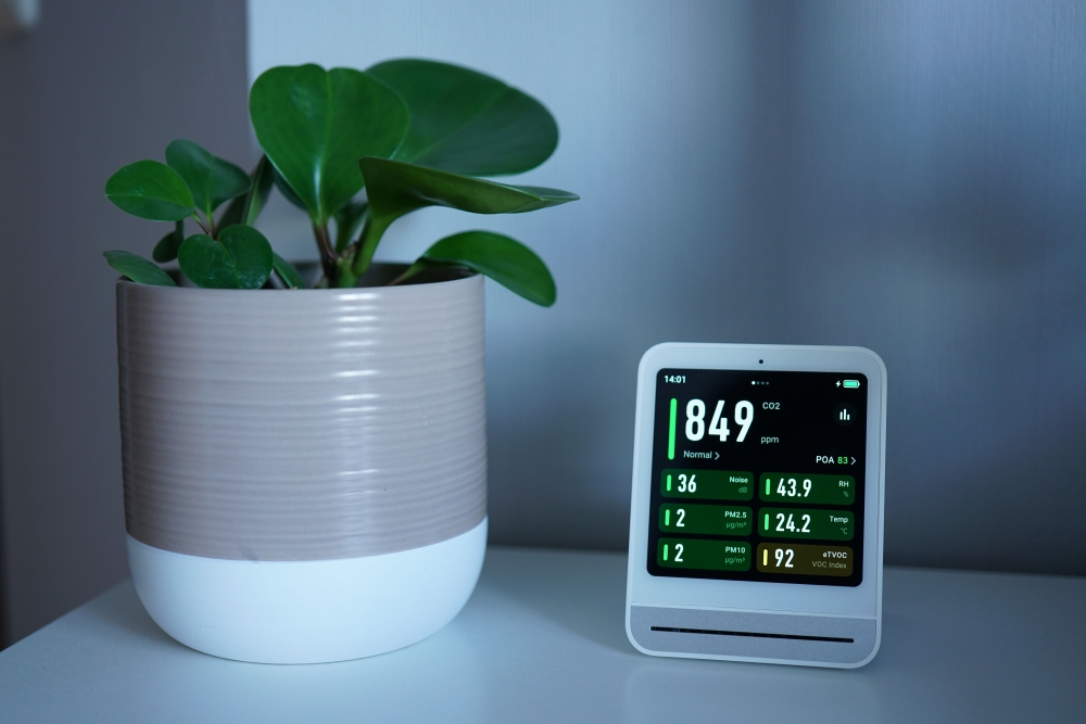 Indoor plants are not a substitute for air filtration, and an air quality monitor is the better way to see what is in your home’s air, specialists say. — Pexels pic