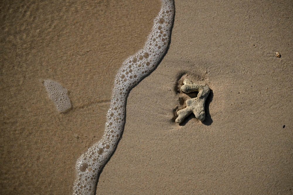 This photograph taken on September 9, 2026 shows dead coral lying along a beach at Kariyachalli Island, off the coast of Thoothukudi in India’s Tamil Nadu state. — AFP pic