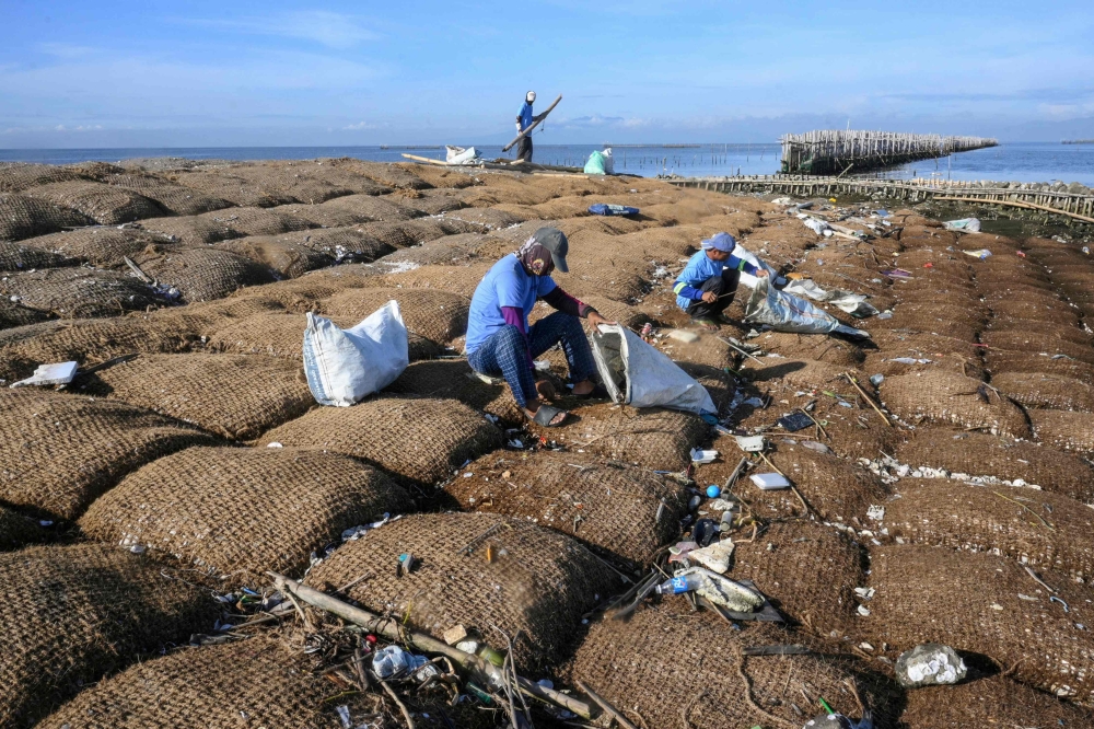 In this photo taken on October 13, 2026, workers remove trash on coconut-fibre bags filled with oyster shells on a breakwater at Pamarawan Island in Malolos City, Bulacan province. — AFP pic