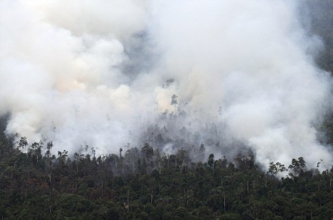Thick smoke is seen from raging forest fires rise in Pelalawan regency in Riau province located in Indonesia’s Sumatra island on June 21, 2013. – AFP pic