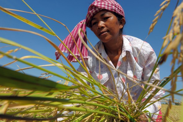 Many Cambodians have spent their life working in rice fields or as cattle herders, with no one to teach them how to use sign language. u00e2u20acu201d AFP pic
