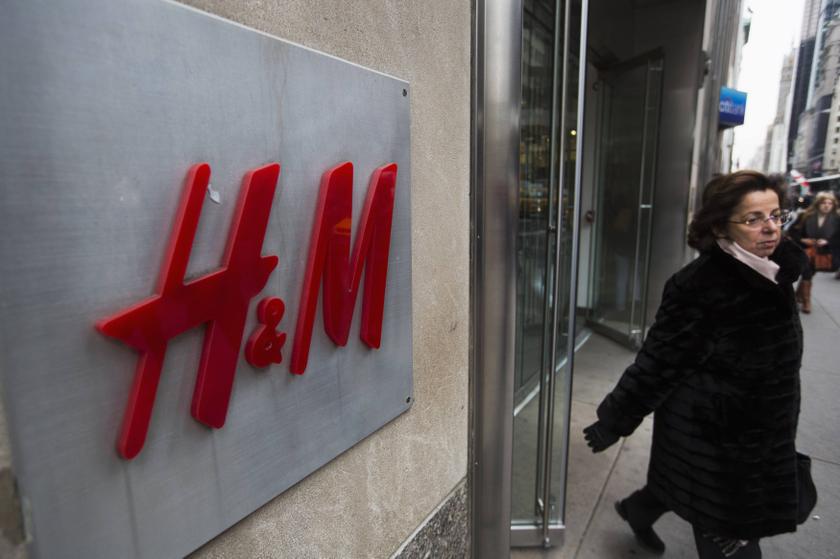 H&M takes action after rabbit torture video u00e2u20acu2022 Reuters pic