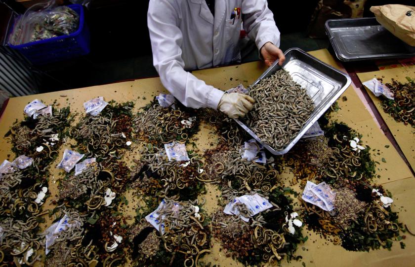 A worker prepares traditional Chinese herbal medicines at Beijing's Capital Medical University Traditional Chinese Medicine Hospital, May 25, 2011 file photo. SE Asia's traditional medicine industry is booming. u00e2u20acu201d Reuters pic