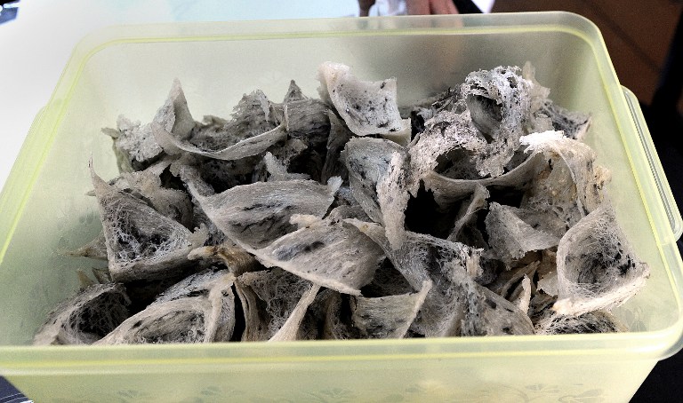This photo taken on July 13, 2009 shows dried bird's nests preserved in a plastic box at a shop in Pulau Ketam off Port Klang, west of Kuala Lumpur. u00e2u20acu201d AFP pic