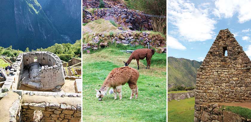 (From left) A beam of sunlight shines through the window of the Torreón on the June solstice. These grazing alpacas may be able to scamper up the mountains faster than you!. The remnant of a roof in the residential section of Machu Picchu.