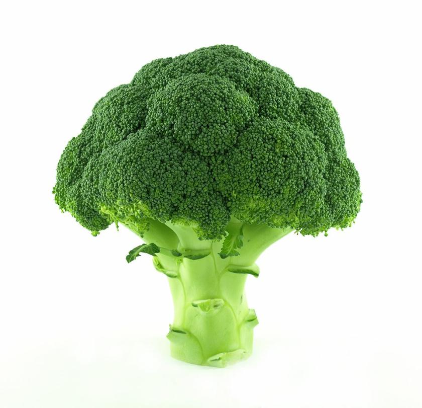 Better broccoli in the works, say researchers from University of Illinois.u00c2u00a9shutterstock.com