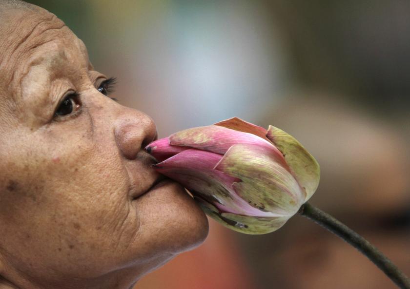 A Buddhist nun attends Meak Bochea Day at the Oudong mountain in Kandal province February 14, 2014. u00e2u20acu201d Reuters pic