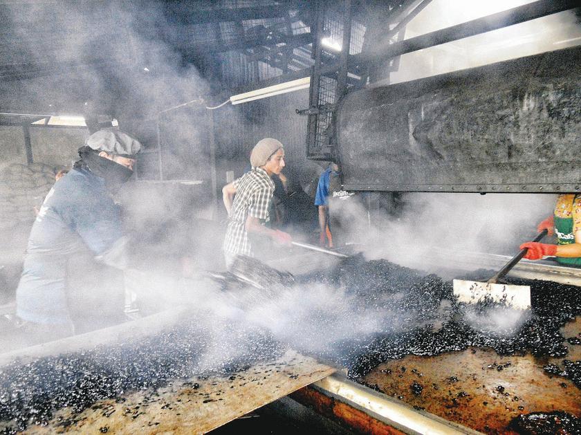 Workers stir coffee beans over large hot plates raising steam and aroma that fills the air. u00e2u20acu2022 Picture by Marcus Piongn