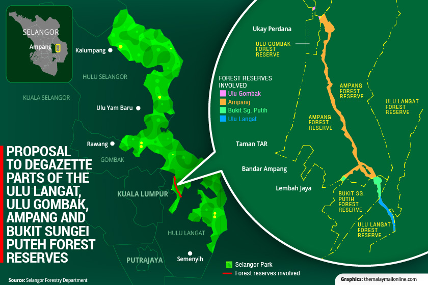 Forest reserve graphics