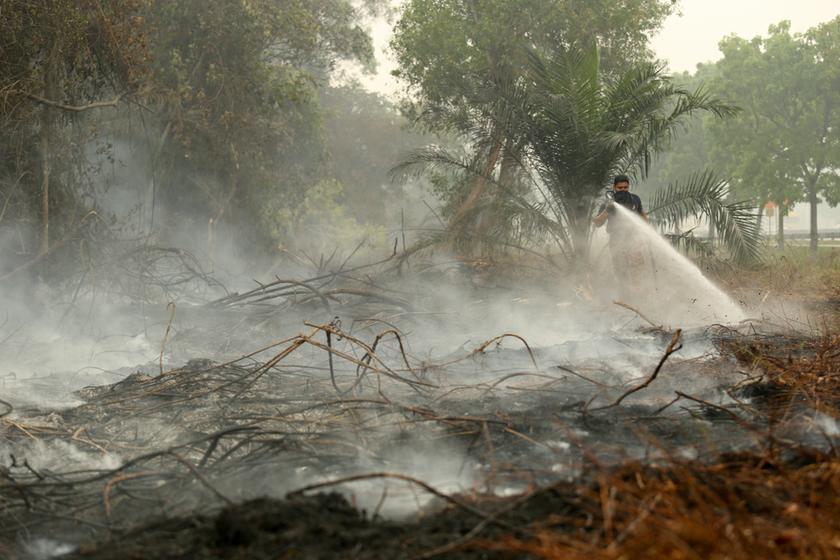 A firefighter puts out a forest fire at a roadside on Kesas highway, Taman Sentosa, Klang, on March 14, 2014. u00e2u20acu201d Picture by Saw Siow Feng