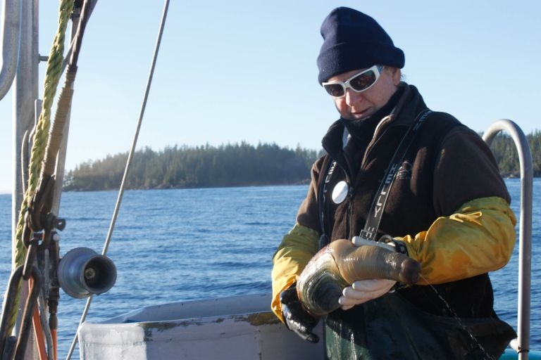 Freddy Gutmann, a fishermen on board the u00e2u20acu02dcHideaway IIu00e2u20acu2122, holds a freshly harvested geoduck near Tofino, in British Columbia, Canada, on January 24, 2014. u00e2u20acu201d AFP Relaxnews pic