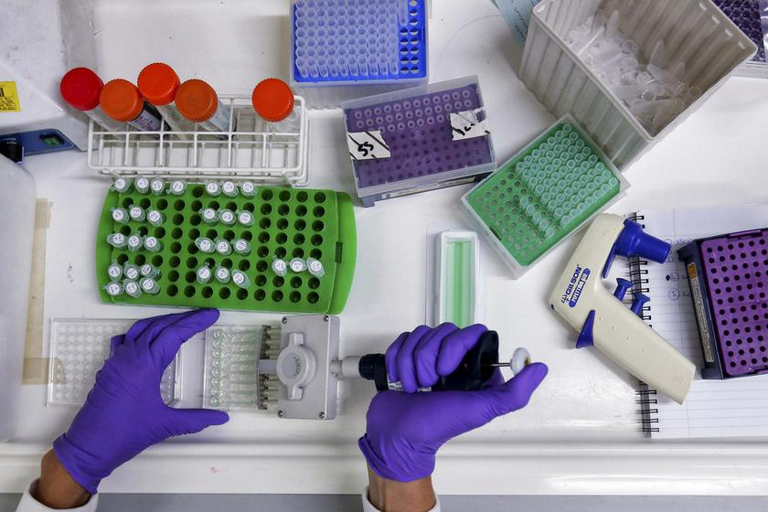 A scientist prepares protein samples for analysis in a lab at the Institute of Cancer Research in Sutton in this July 15, 2013 file photo.  u00e2u20acu201d Reuters pic
