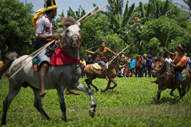 Sumbanese tribesmen participate in the annual u00e2u20acu02dcpasolau00e2u20acu2122 festival, a ritual mock battle on horseback in Ratenggaro village located in Indonesia's island of Sumba, March 22, 2014, u00e2u20acu2022 AFP pic