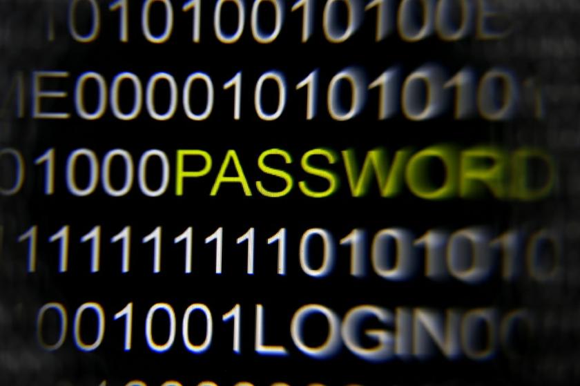 File picture illustration of the word 'password' pictured on a computer screen, taken in Berlin May 21, 2013. u00e2u20acu201d Reuters pic